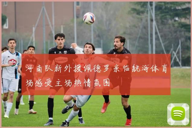 河南队新外援佩德罗亲临航海体育场感受主场热情氛围
