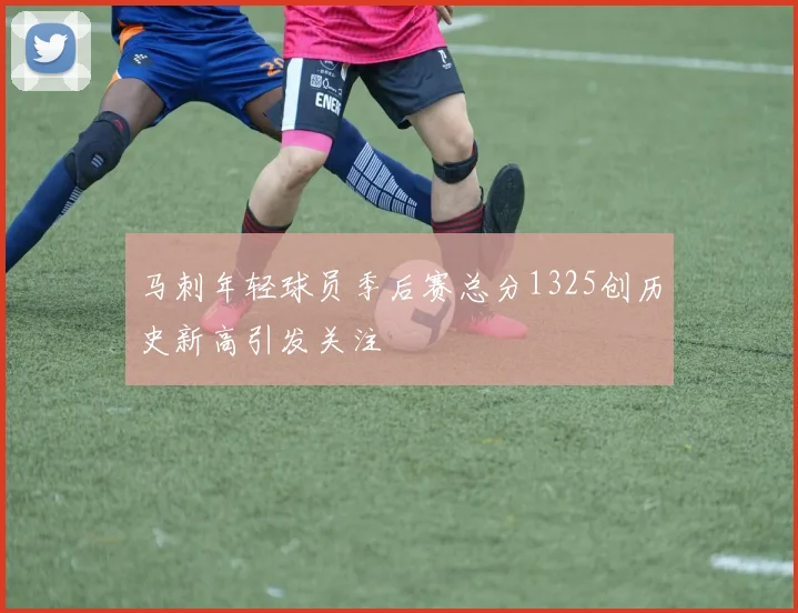 马刺年轻球员季后赛总分1325创历史新高引发关注